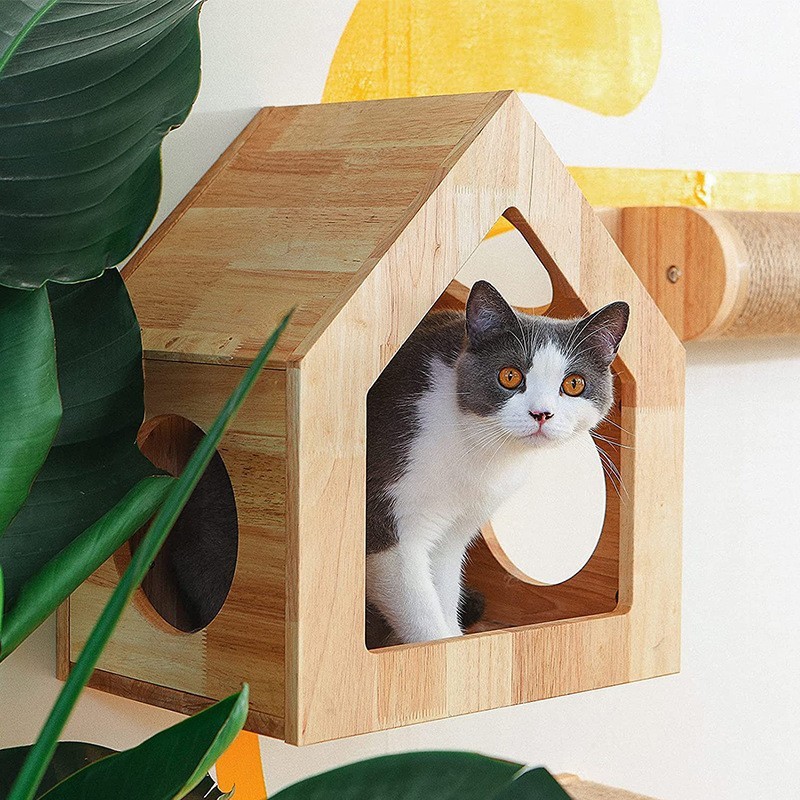 Pet Wooden Toyys